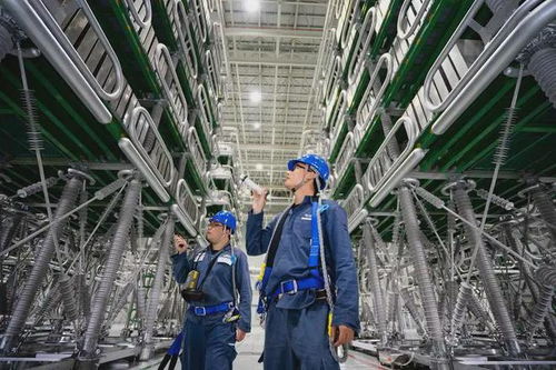 最適合進入國家電網(wǎng)和南方電網(wǎng)的五大專業(yè)及鉆采工程技術(shù)服務(wù)解析