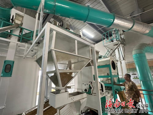 科技興農(nóng)繪出錢糧雙豐收——陵水遠景村機械化服務(wù)產(chǎn)業(yè)注入農(nóng)業(yè)現(xiàn)代化新活力