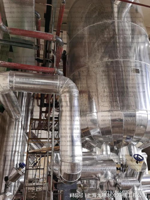 速凍食品加工中的氨制冷系統(tǒng) 保障食品安全與提升生產(chǎn)效率的核心技術(shù)